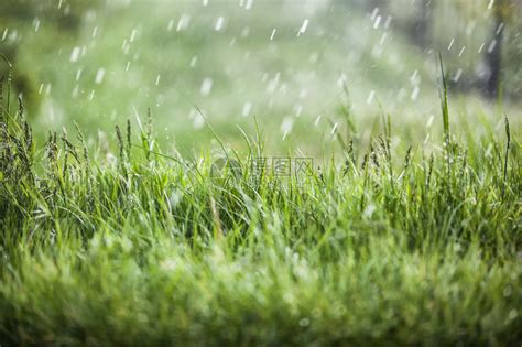 下雨的图片|333,717 下雨图片 图片、库存照片、3D 物体和矢量图 